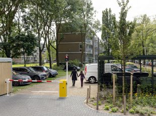 Meppelweg Herinrichting Buitenruimte 02